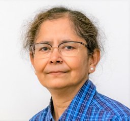 Professor Shrabani Saha