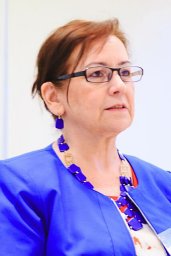 Ruxandra Vidu