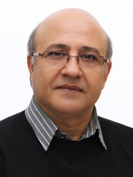 Bijan Bina