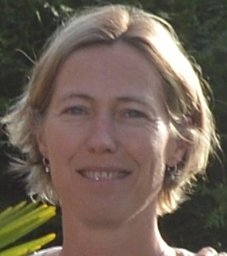 Sylvie Deuffic-Burban