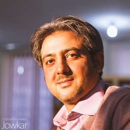 Mohammad Mahdi Jowkar