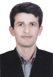 Hossein Kamani