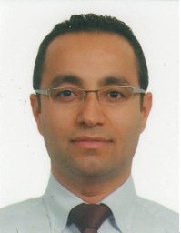 BÜLENT ELBASAN, PT, Professor